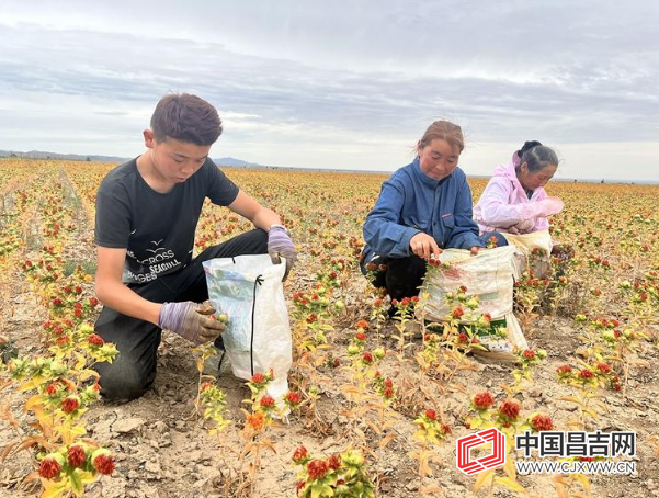 强基固本提能力 擎旗奋进再出发 ——木垒县“五个好”党支部创建工作综述