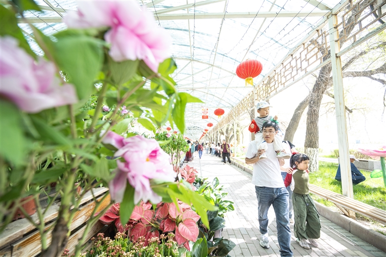 新疆农业博览园迎来旅游小高峰